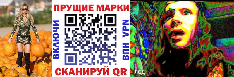 где купить   KRAKEN   darknet наркотические препараты  Пошехонье  Марки NBOMe 1500мкг 