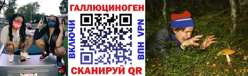 Псилоцибиновые грибы мицелий  где купить   Пошехонье 