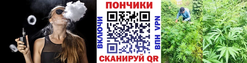 ссылка на мегу вход  Пошехонье  Марихуана план 